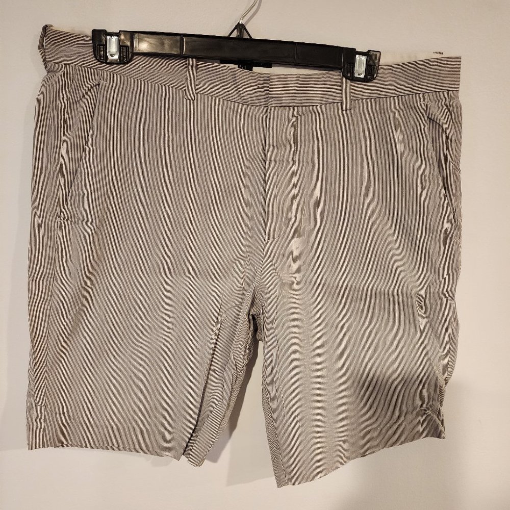 Theory Men's Gray & White Pin Stripe Flat Front Shorts Size 34